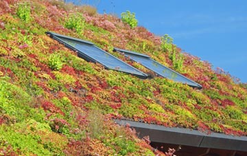 Cefn Llwyd living roof systems
